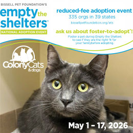 Image of a cat. Bissell Pet Foundation's Empty the Shelters Event. National adoption event at 335 orgs in 39 states from May 1-17, 2026.