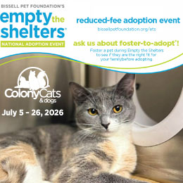 Image of a cat. Bissell Pet Foundation's Empty the Shelters National Adoption Event-July 5-26, 2026 - reduced fee adoption event ask about foster to adopt
