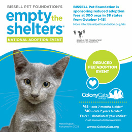 Image of a cat, reduced fee adoption event. Bissell Pet Foundation is sponsoring reduced adoption fees at 300+ orgs in 40 states from October 1-15.