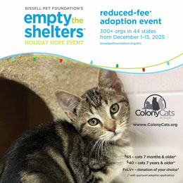 Image of a cat. Bissell Pet Foundation's Empty the Shelters Holiday Hope Event. Reduced adoption event at 300+ orgs in 44 states from December 1-15, 2025.