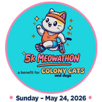 Image of a cartoon cat jogging. 5k Meowathon a benefit for Colony Cats (& dogs) Sunday – May 24, 2026.
