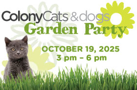 Colony Cats Garden Party Logo - October 19, 2025 from 3pm to 6pm