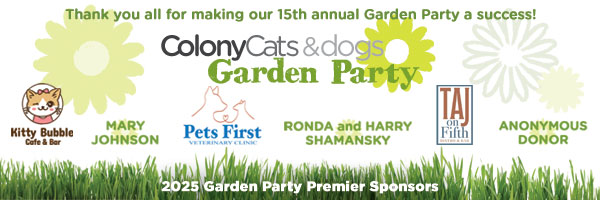 Thank you all for making our 15th annual Garden Party a success!