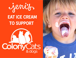 Jeni's Eat Ice Cream to support Colony Cats (& dogs) 