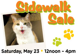 Image has photo of a cat and says Sidewalk Sale Saturday, May 23 • 12noon - 4pm