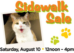 Image has photo of a cat and says Sidewalk Sale Saturday, August 10 • 12noon - 4pm