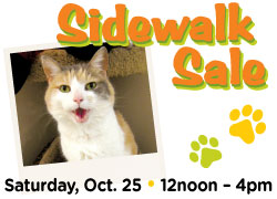 Image has photo of a cat and says Sidewalk Sale Saturday, October 25 • 12noon - 4pm