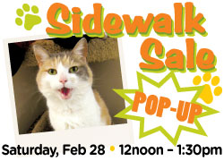 Image has photo of a cat and says Sidewalk Sale Saturday, February 28 • 12noon - 1:30pm