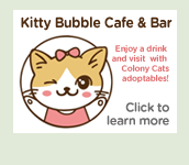 Kitty Bubble Cafe website link