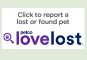 Petco Love Lost website link