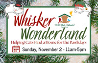 Whisker Wonderland Helping Cats Find a Home for the Pawlidays